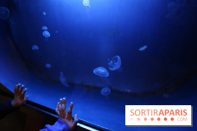 Aquarium de la Porte Dorée à Paris