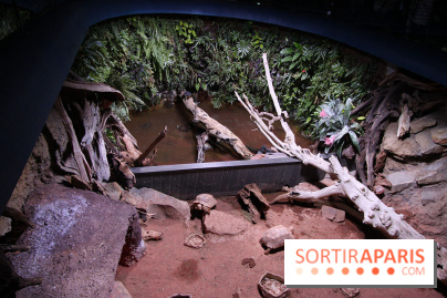 Aquarium de la Porte Dorée à Paris