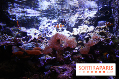 Aquarium de la Porte Dorée à Paris