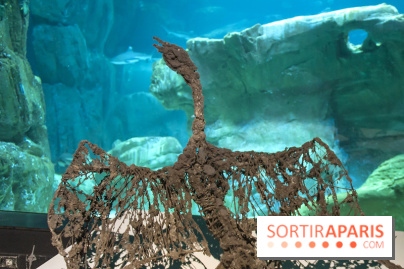 Aquarium de Paris : La Fabrique des profondeurs, l'exposition de Lionel Sabatté