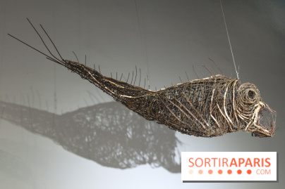 Aquarium de Paris : La Fabrique des profondeurs, l'exposition de Lionel Sabatté