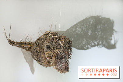 Aquarium de Paris : La Fabrique des profondeurs, l'exposition de Lionel Sabatté