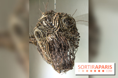 Aquarium de Paris : La Fabrique des profondeurs, l'exposition de Lionel Sabatté