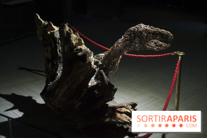 Aquarium de Paris : La Fabrique des profondeurs, l'exposition de Lionel Sabatté