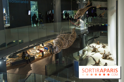 Aquarium de Paris : La Fabrique des profondeurs, l'exposition de Lionel Sabatté