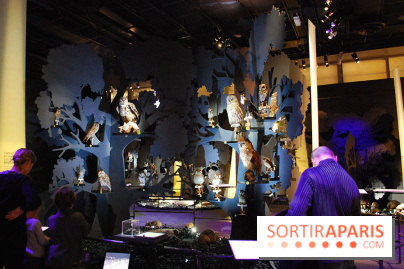 Exposition Nuit au Muséum Natinaol d'Histoire Naturelle