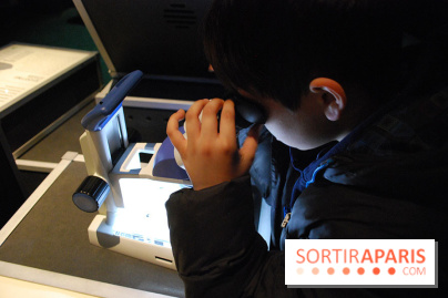 Exposition Nuit au Muséum Natinaol d'Histoire Naturelle