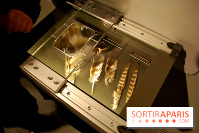 Exposition Nuit au Muséum Natinaol d'Histoire Naturelle