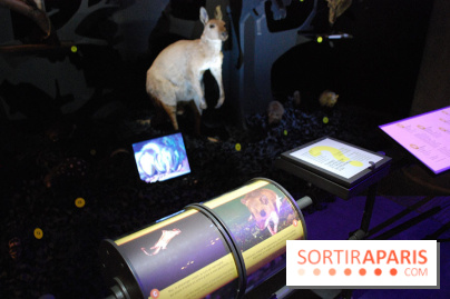 Exposition Nuit au Muséum Natinaol d'Histoire Naturelle