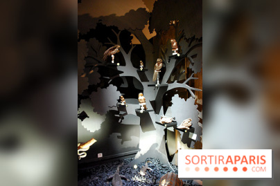 Exposition Nuit au Muséum Natinaol d'Histoire Naturelle