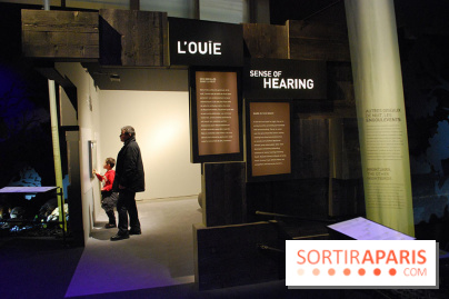 Exposition Nuit au Muséum Natinaol d'Histoire Naturelle