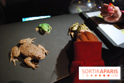 Exposition Nuit au Muséum Natinaol d'Histoire Naturelle