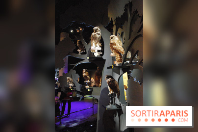 Exposition Nuit au Muséum Natinaol d'Histoire Naturelle