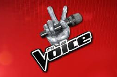 The Voice, la tournée 2014, au Palais des Sports de Paris 