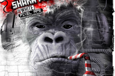 Shaka Ponk en concert à Paris Bercy en novembre 2014