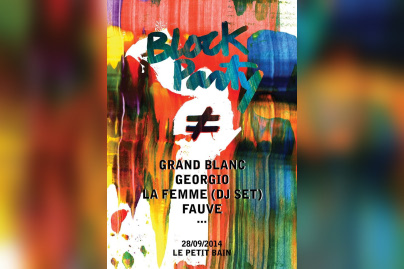 Block Party avec Fauve au Petit Bain
