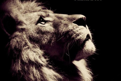 Julien Doré en concert au Grand Rex de Paris en 2015