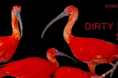 Lexer et Dirty Doering au Zig Zag Club