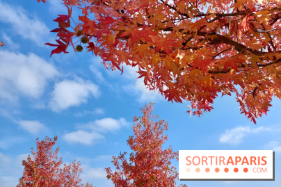 Que faire ce week-end à Paris et en Île-de-France, les 17, 18 et 19 octobre 2025 