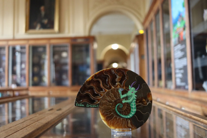 Codex on the Rocks : du street art au Musée de Minéralogie de l'École des Mines de Paris 