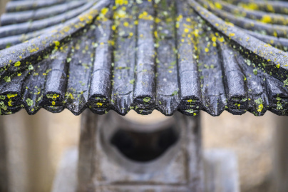 Rendez-vous aux jardins 2026 : visite zen d'un jardin japonisant en Essonne