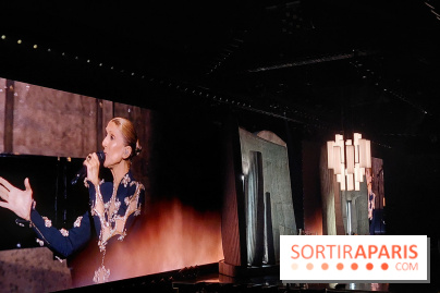 Céline Dion: 2h25 de show rempli d'émotion, tubes en rafale.. on vous raconte son 2e concert à Paris