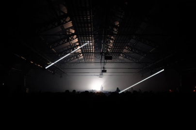 The Peacock Society 2016, édition hivernale, au Parc Floral de Paris