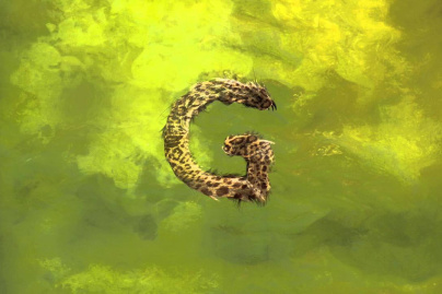 Garbage en concert à La Salle Pleyel de Paris en novembre 2016