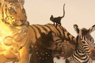 Albin de La Simone en showcase gratuit à la Fnac Saint Lazare