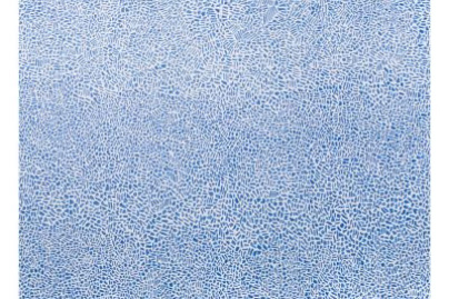 Peter Von Poehl en showcase à la Fnac des Ternes