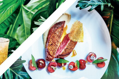 La terrasse du Mini Palais, saison 2017