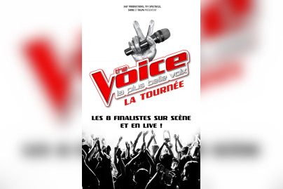 The Voice, la tournée 2017, au Palais des Sports de Paris