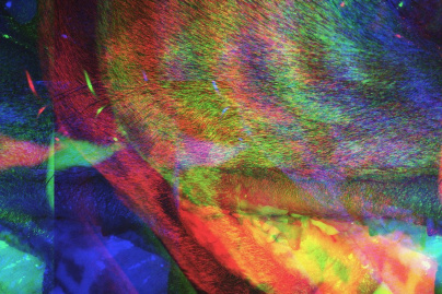Frank Carter & The Rattlesnakes en concert au Trabendo de Paris en mars 2018