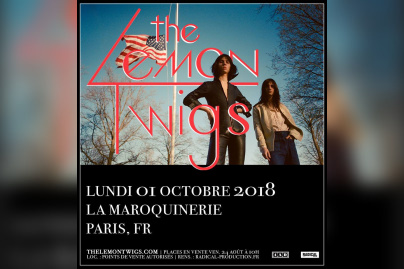 The Lemon Twigs en concert à La Maroquinerie de Paris en octobre 2018