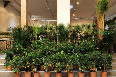 Nouvelle grande Vente de Plantes dès 2€ à l'Espace Canal Saint Martin