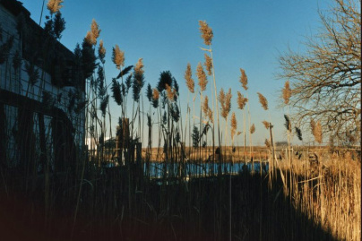 The Cinematic Orchestra en concert au Casino de Paris en mars 2019