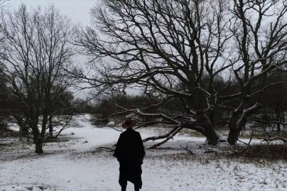 Bror Gunnar Jansson en concert à l'Alhambra de Paris en octobre 2019