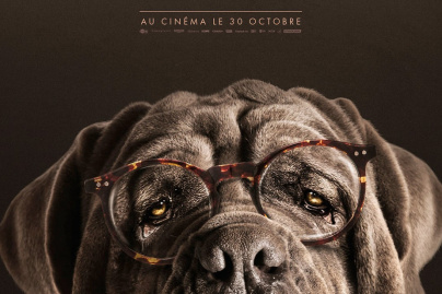 Mon Chien Stupide au cinéma : nouveau film d'Yvan Attal avec Charlotte Gainsbourg