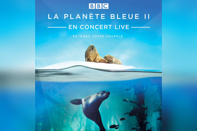 La Planète Bleue II en concert live à l'AccorHotels Arena de Paris en 2020