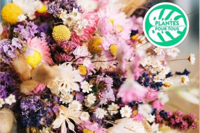 Grande Vente de Fleurs Séchées by Plantes Pour Tous à Paris 