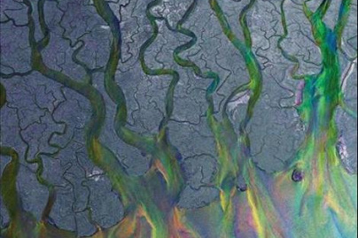 Alt-J en concert à l’Olympia en octobre 2013