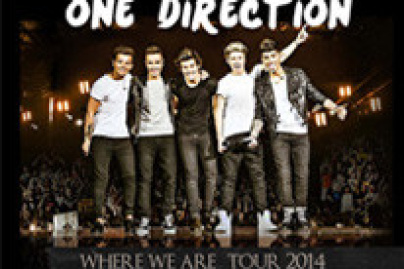 One Direction en concert au Stade de France en juin 2014