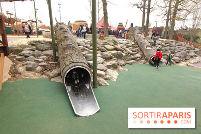 Astérix : La Forêt d'Idefix