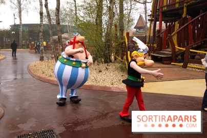 Astérix : La Forêt d'Idefix