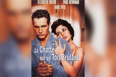 La chatte sur un toit brulant