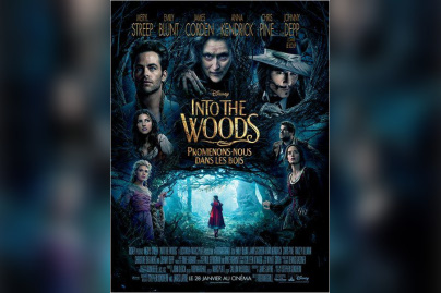 Into the Woods, Promenons-nous dans les bois : critique et bande-annonce 