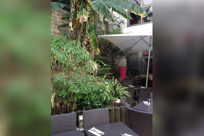 Le jardin de Noura Montparnasse : soleil et mezzés en folie !