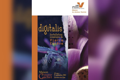 Digitalis de Pierre Estève à la Maison du docteur Gachet 