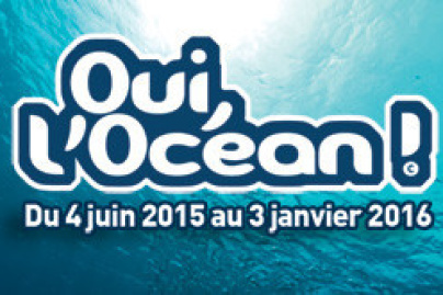 Oui, l'océan ! Le programme écolo de l'Aquarium de Paris