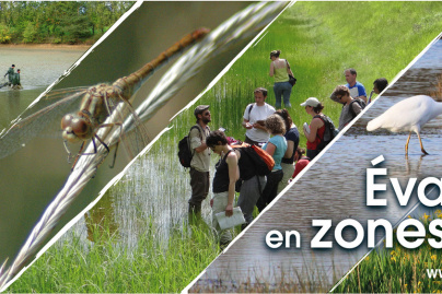 La Journée mondiale des zones humides au Palais de la Porte Dorée